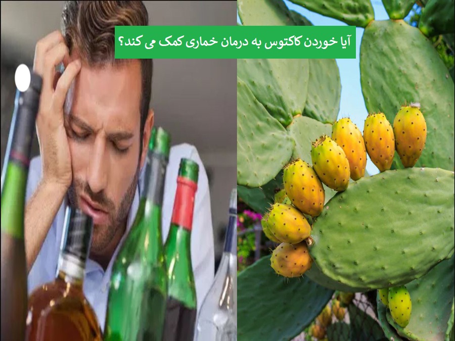 کاکتوس و خماری