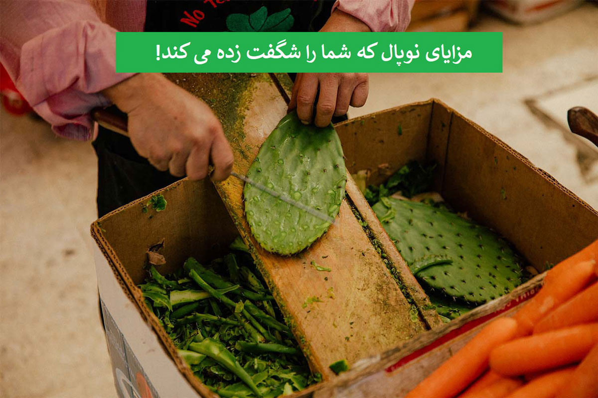 مزایای شگفت انگیز نوپال