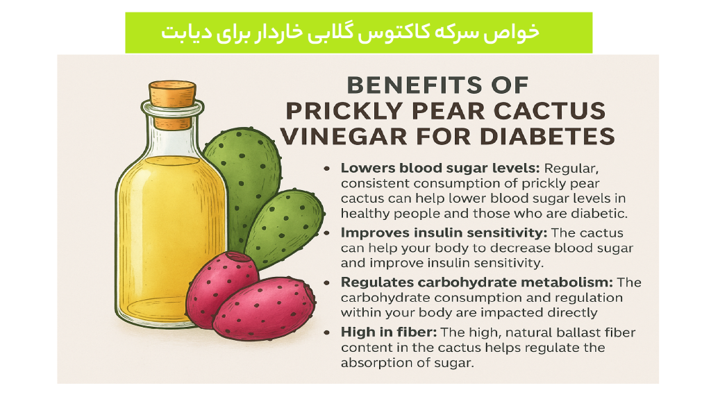خواص سرکه کاکتوس گلابی خاردار برای دیابت