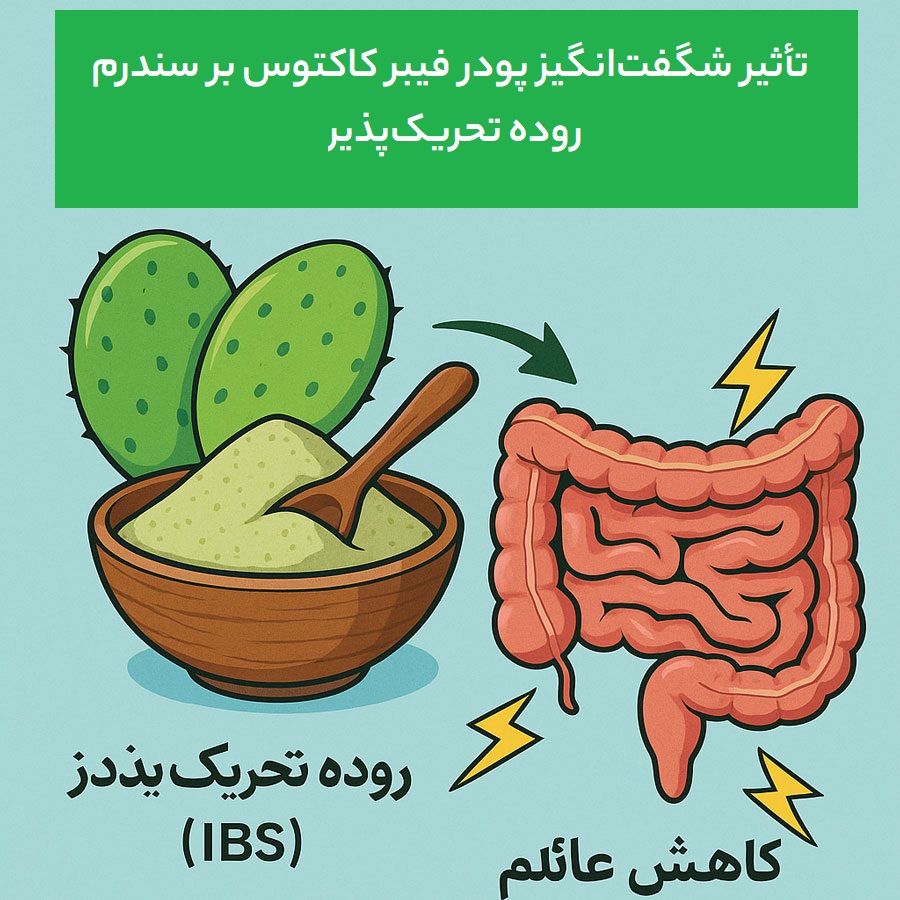 تأثیر شگفت‌انگیز پودر فیبر کاکتوس بر سندرم روده تحریک‌پذیر