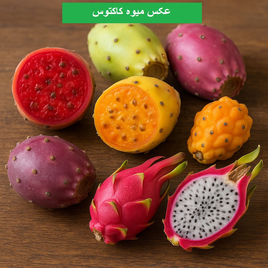 میوه کاکتوس
